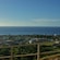 A coastal city with buildings and leafy trees